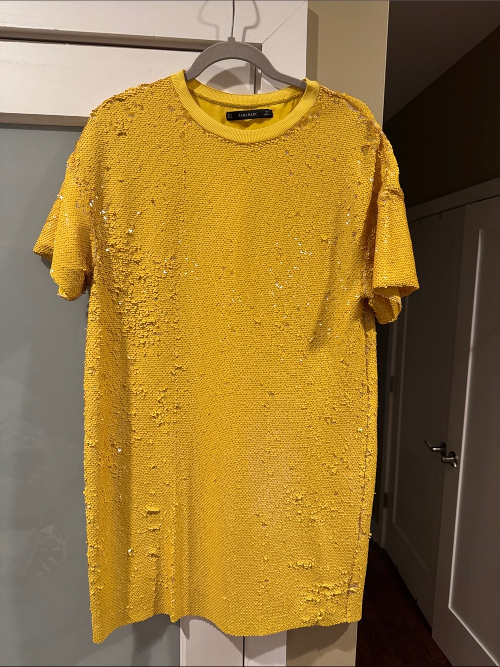Zara Sequin Dress